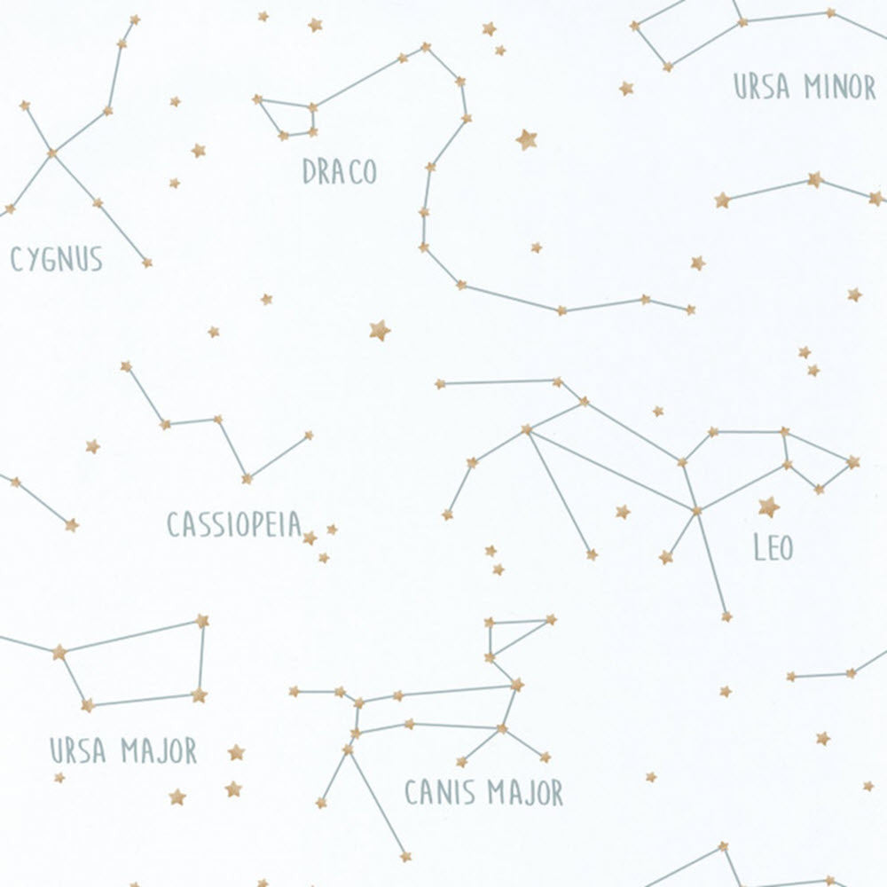 OUP101917125  Constellations Our Planet Wallpaper by Caselio