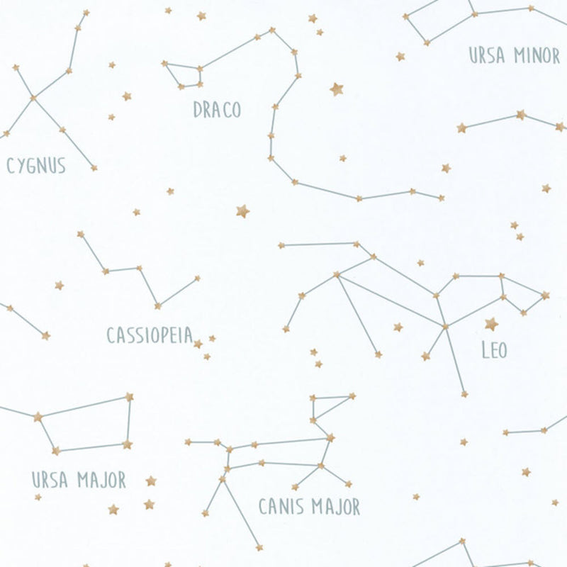 OUP101917125  Constellations Our Planet Wallpaper by Caselio