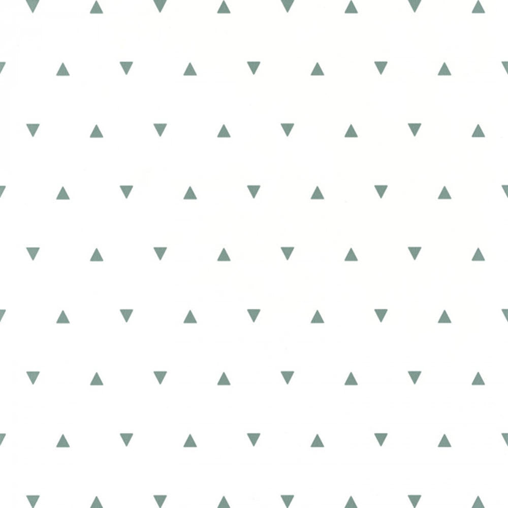 OUP101997101 Bermuda Triangle Our Planet Wallpaper by Caselio