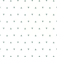 OUP101997101 Bermuda Triangle Our Planet Wallpaper by Caselio