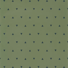 OUP101997400 ( 101997400 ) Bermuda Triangle Our Planet Wallpaper by Caselio