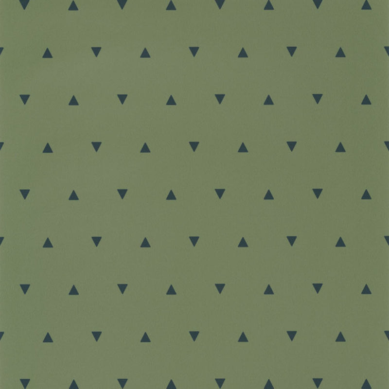 OUP101997400 ( 101997400 ) Bermuda Triangle Our Planet Wallpaper by Caselio