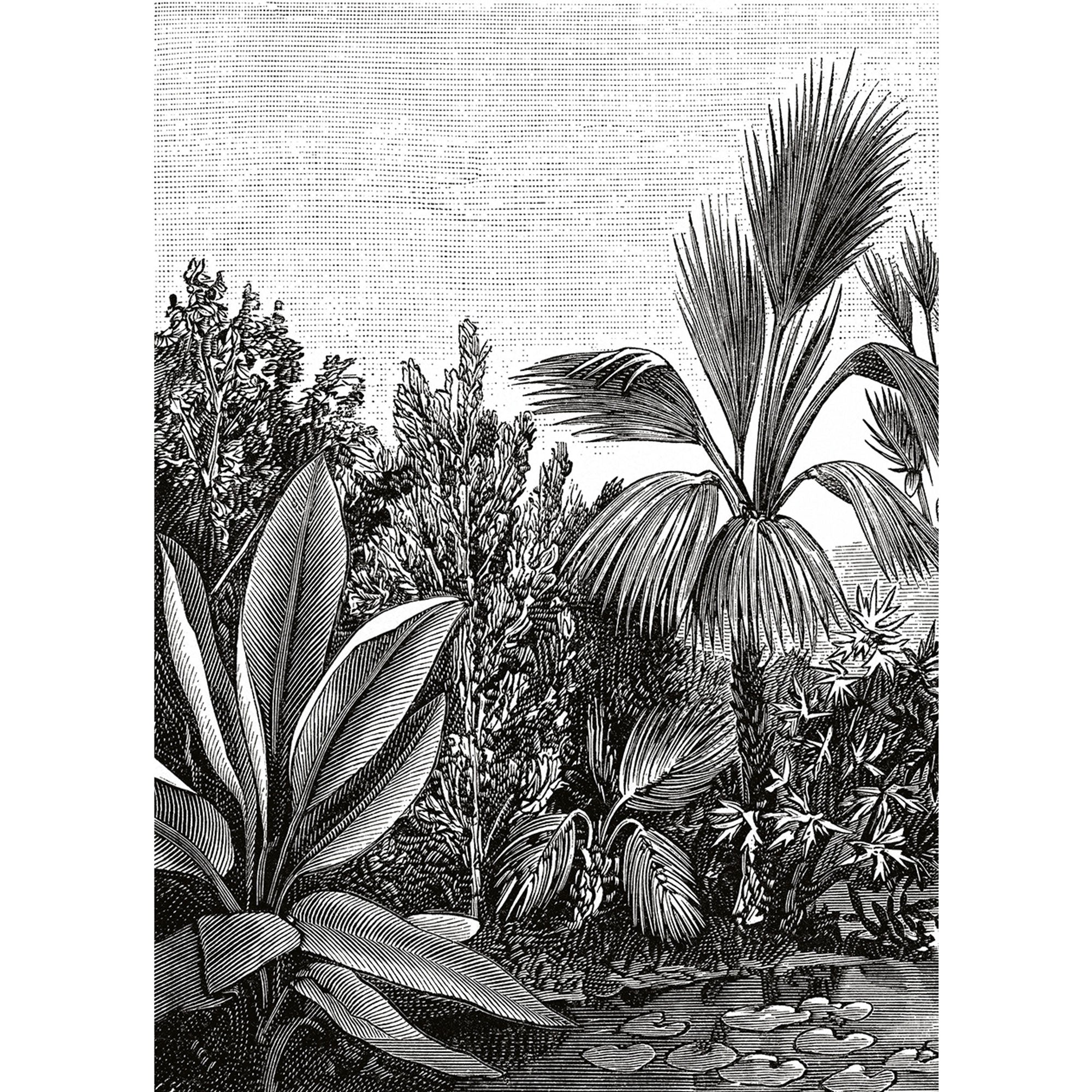102059018 Panoramique Escape Noir Et Blanc Mural by Caselio