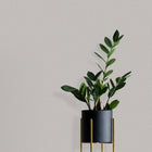 10215-10 Focus Wallpaper By Erismann