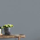 10215-19 Focus Wallpaper By Erismann