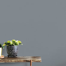 10215-19 Focus Wallpaper By Erismann