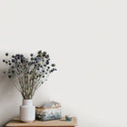 10215-31 Focus Wallpaper By Erismann