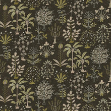 JMW-102331 Cynthia Black and  Olive Wallpaper by Josephine Munsey