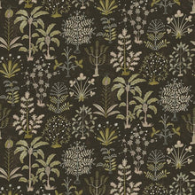 JMW-102331 Cynthia Black and  Olive Wallpaper by Josephine Munsey