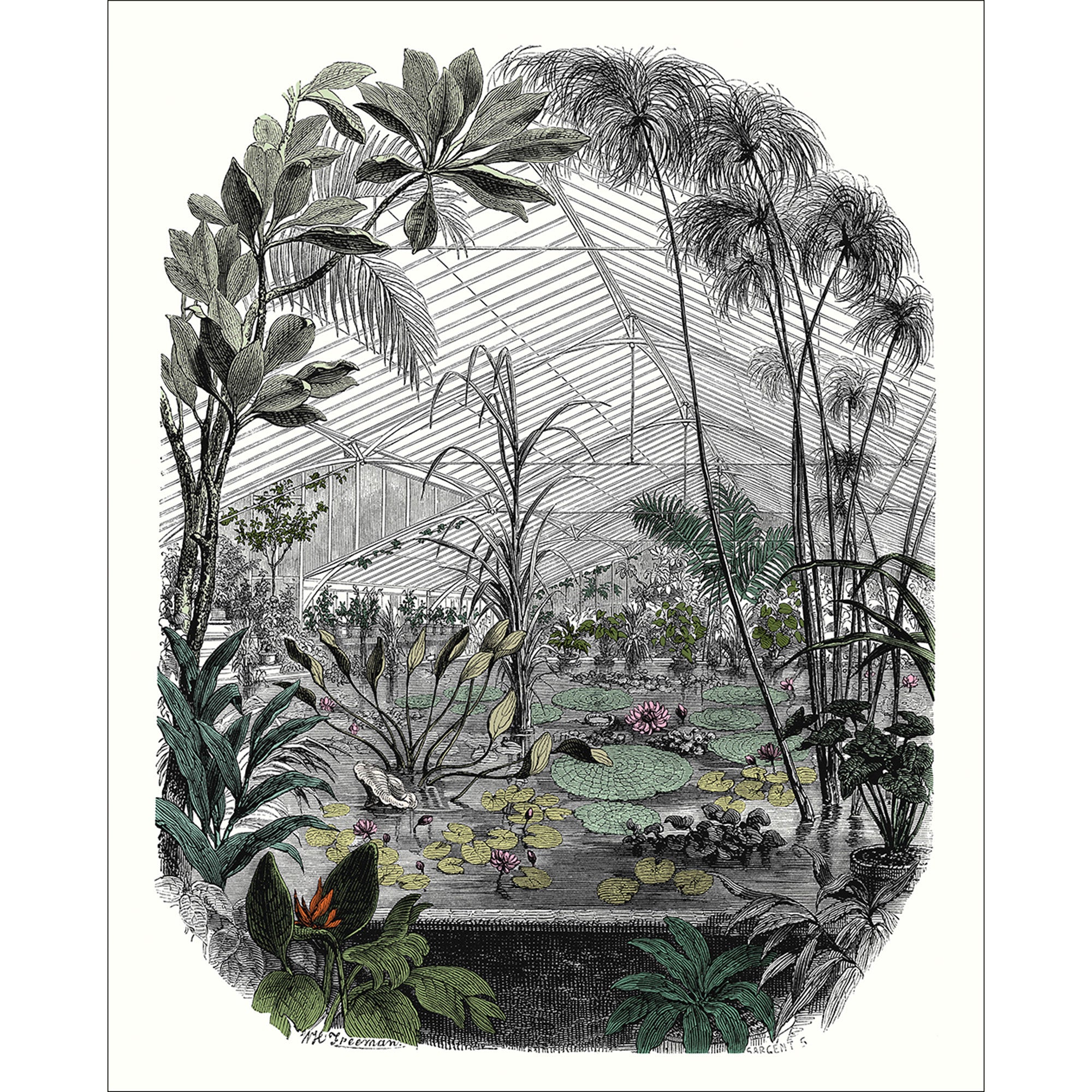 102397070 Panoramique Jardin d'Hiver Multicouleurs Mural by Caselio
