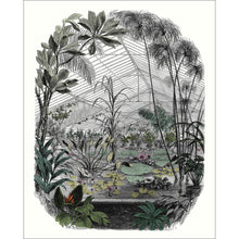 102397070 Panoramique Jardin d'Hiver Multicouleurs Mural by Caselio