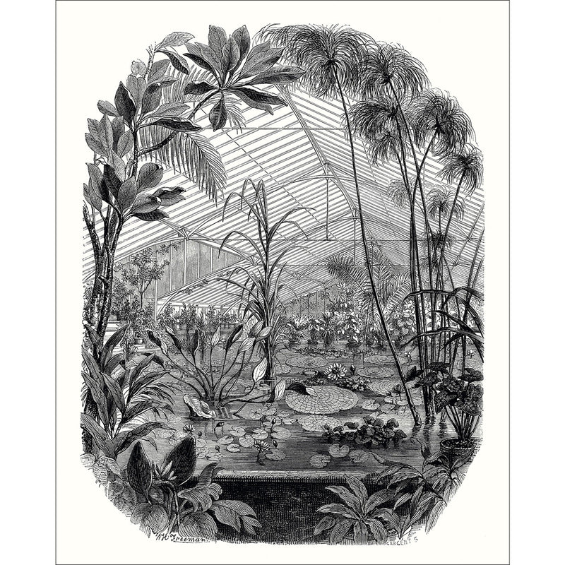 102399000 Panoramique Jardin d'Hiver Noir Et Blanc Mural by Caselio