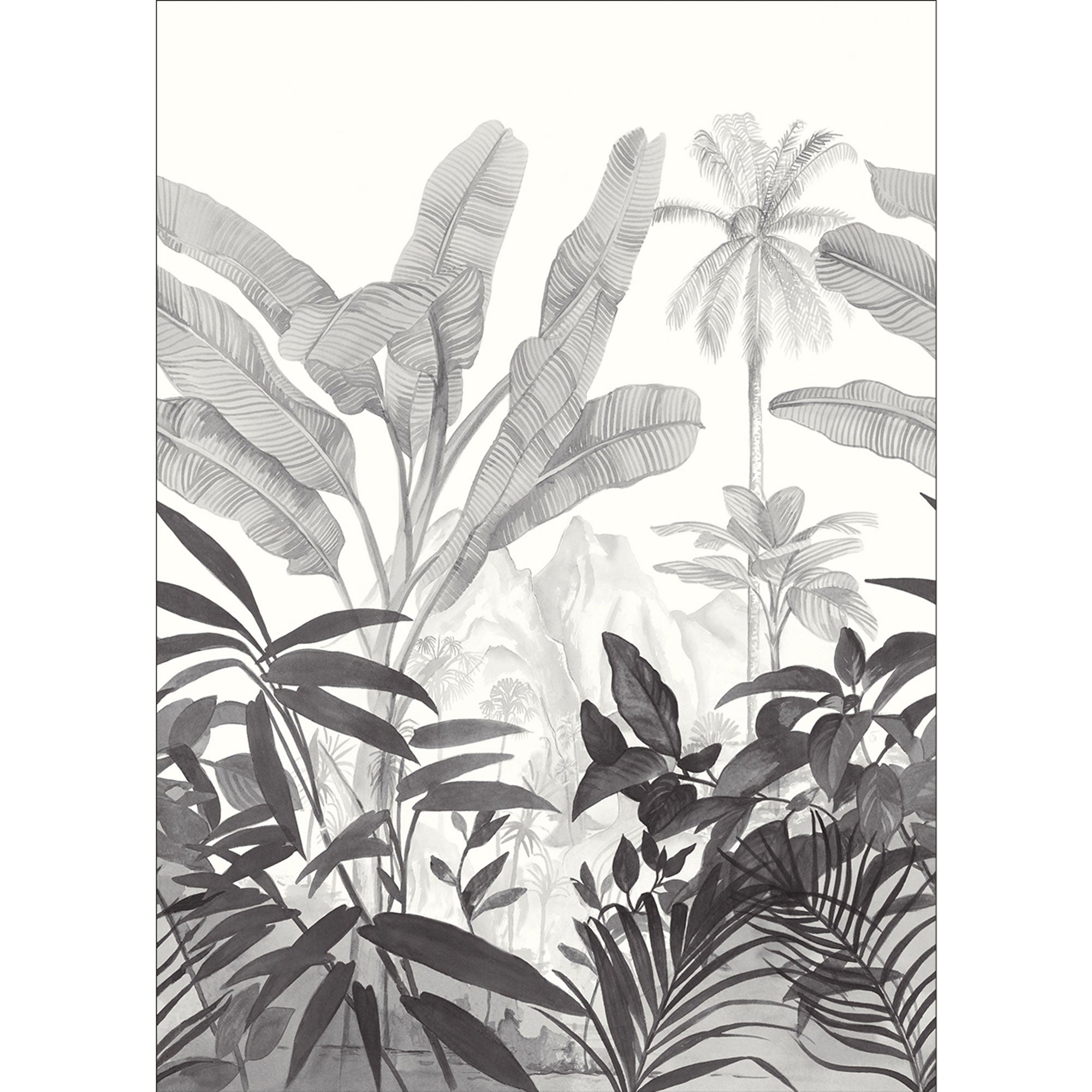 102509001 Panoramique Wild And Secret Noir Et Blanc Mural by Caselio