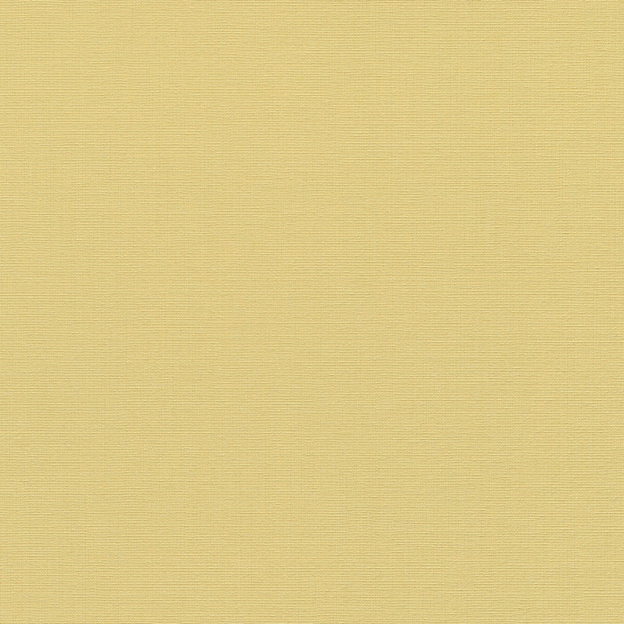 10262-03 La Terrasse Linea Tissu  Wallpaper by Erismann