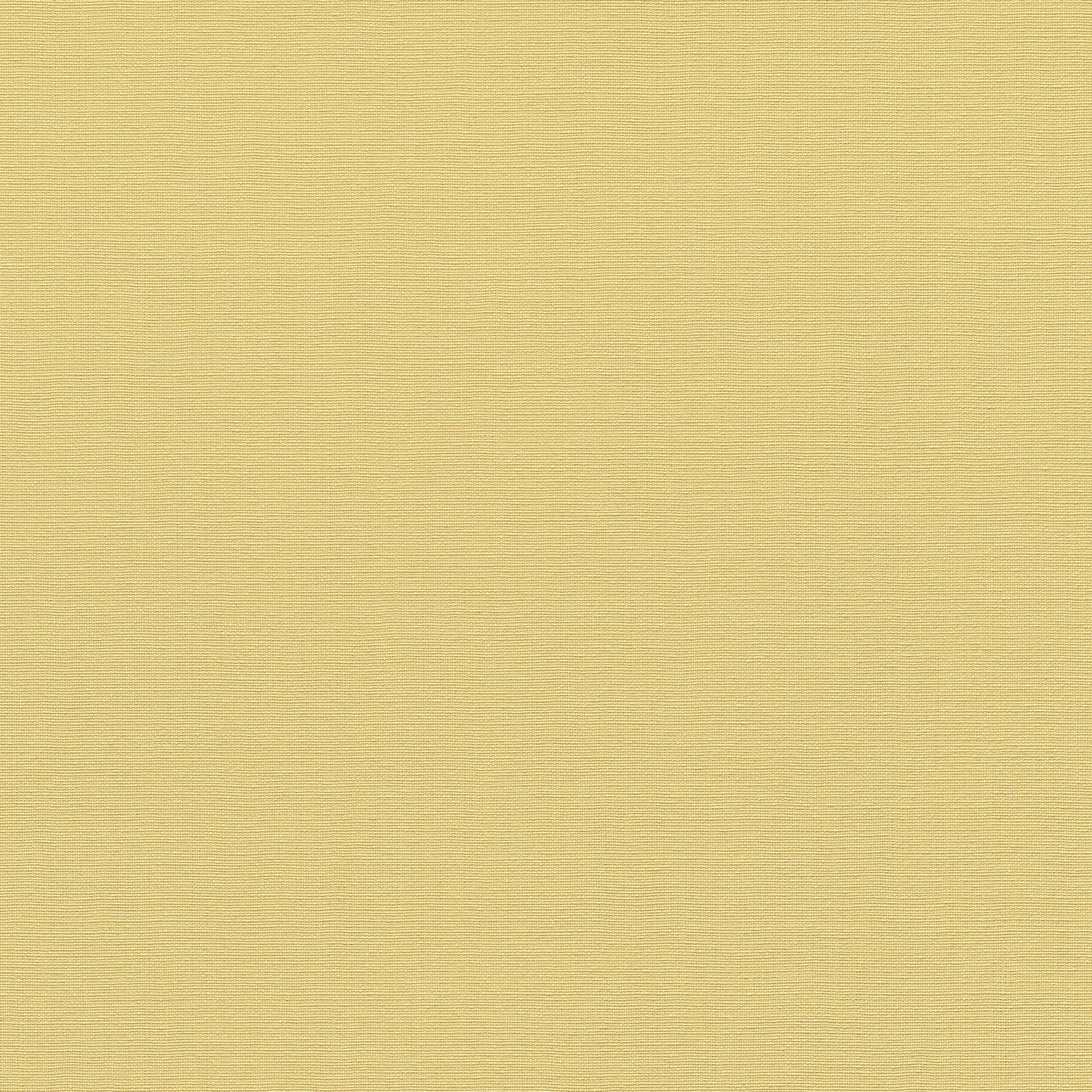 10262-03 La Terrasse Linea Tissu  Wallpaper by Erismann
