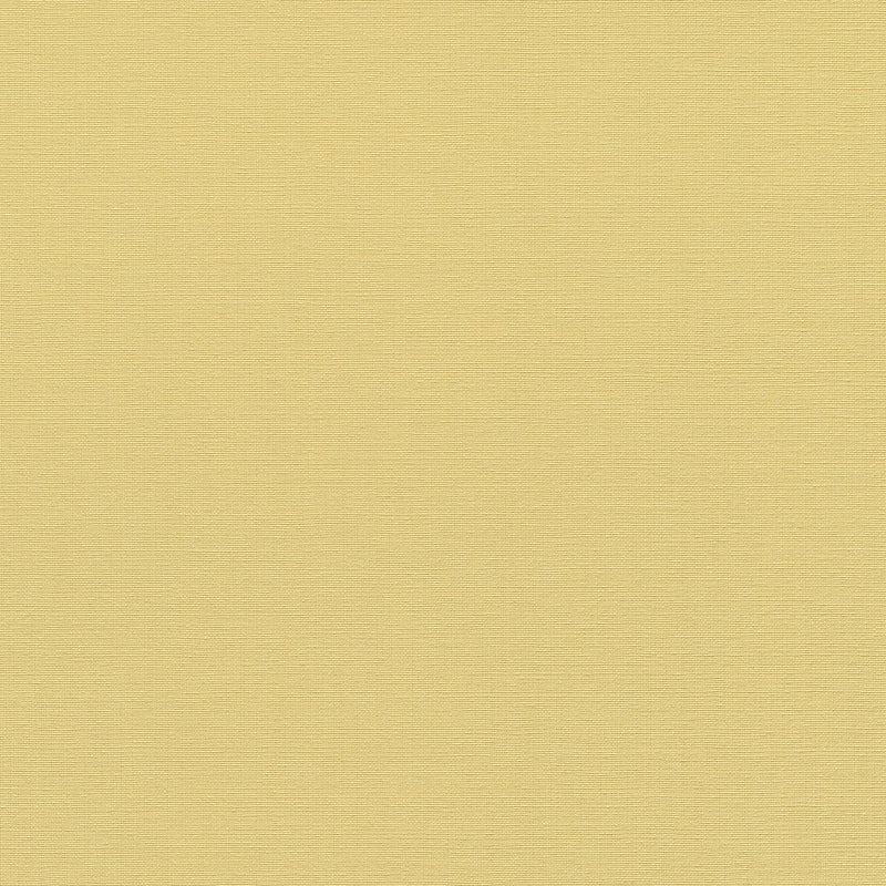 10262-03 La Terrasse Linea Tissu  Wallpaper by Erismann