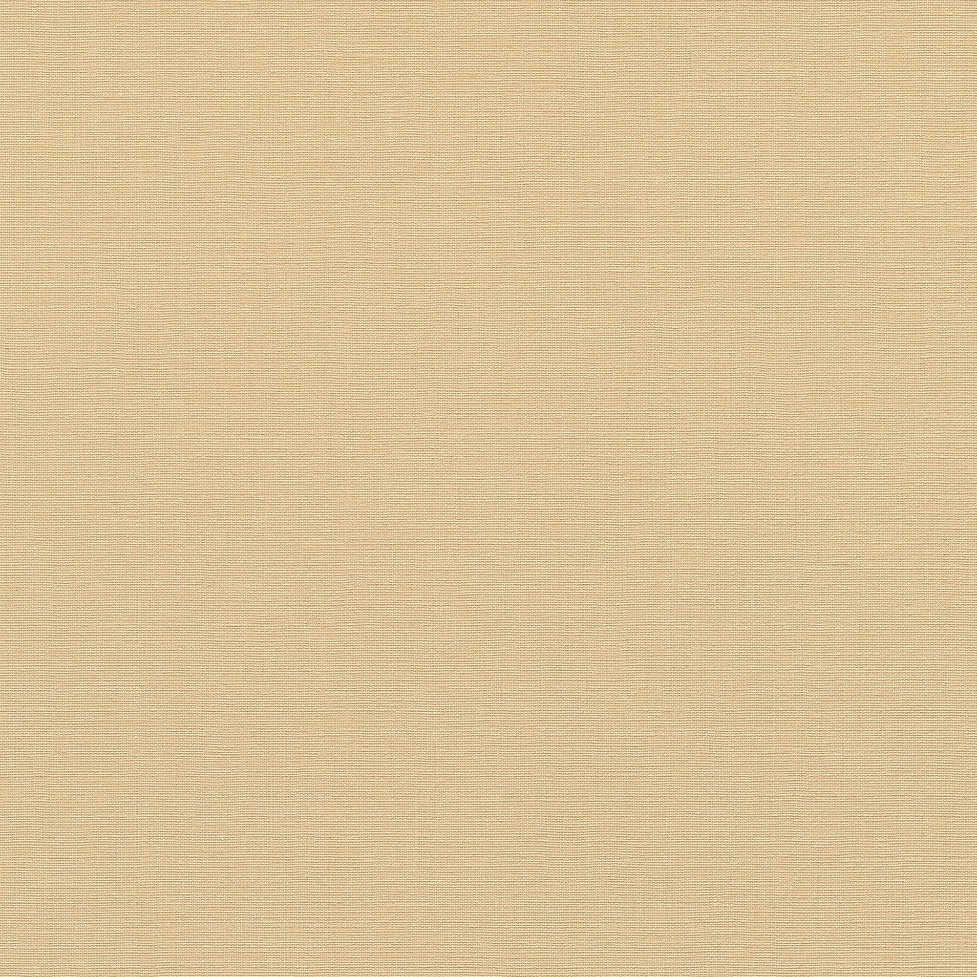 10262-04 La Terrasse Linea Tissu  Wallpaper by Erismann