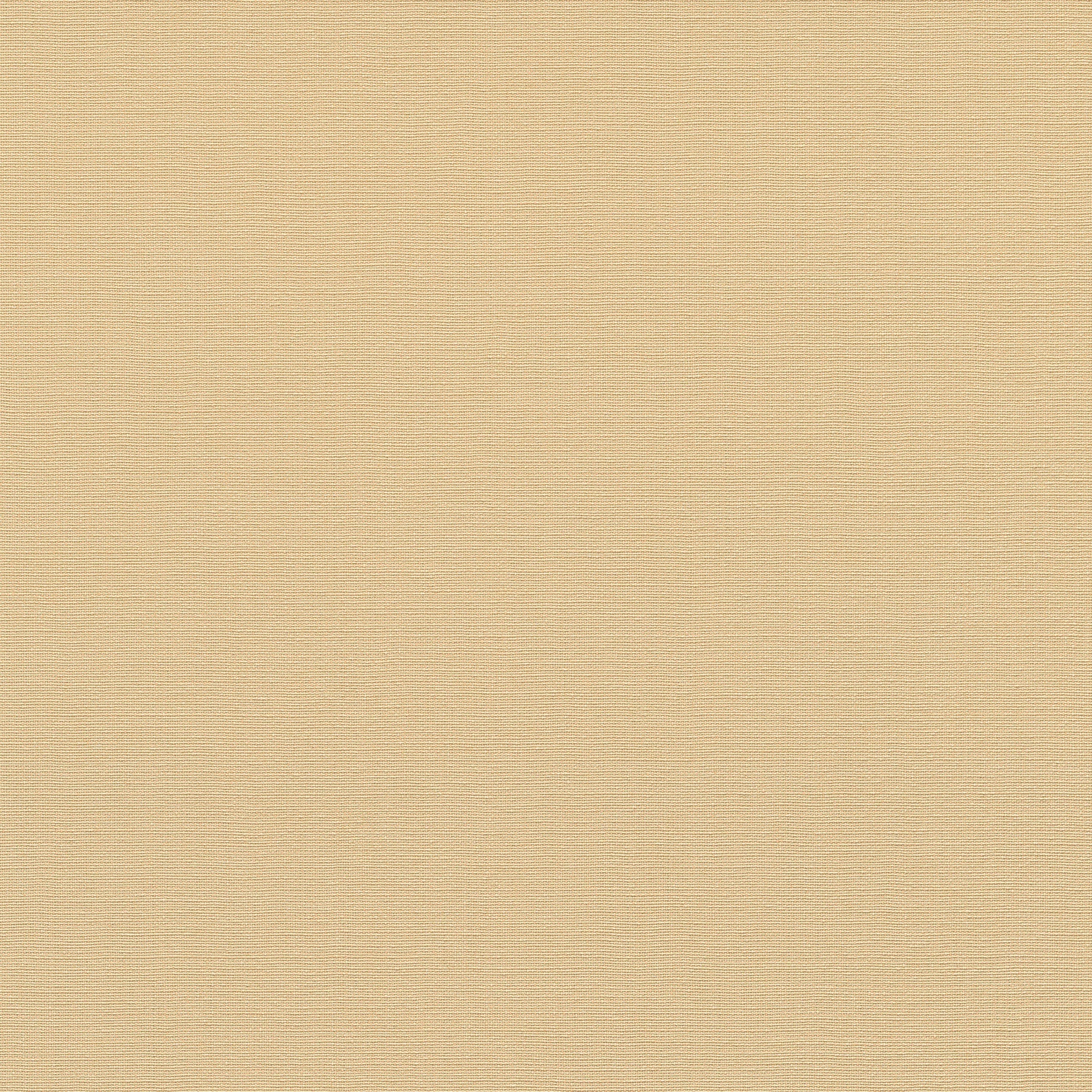 10262-04 La Terrasse Linea Tissu  Wallpaper by Erismann