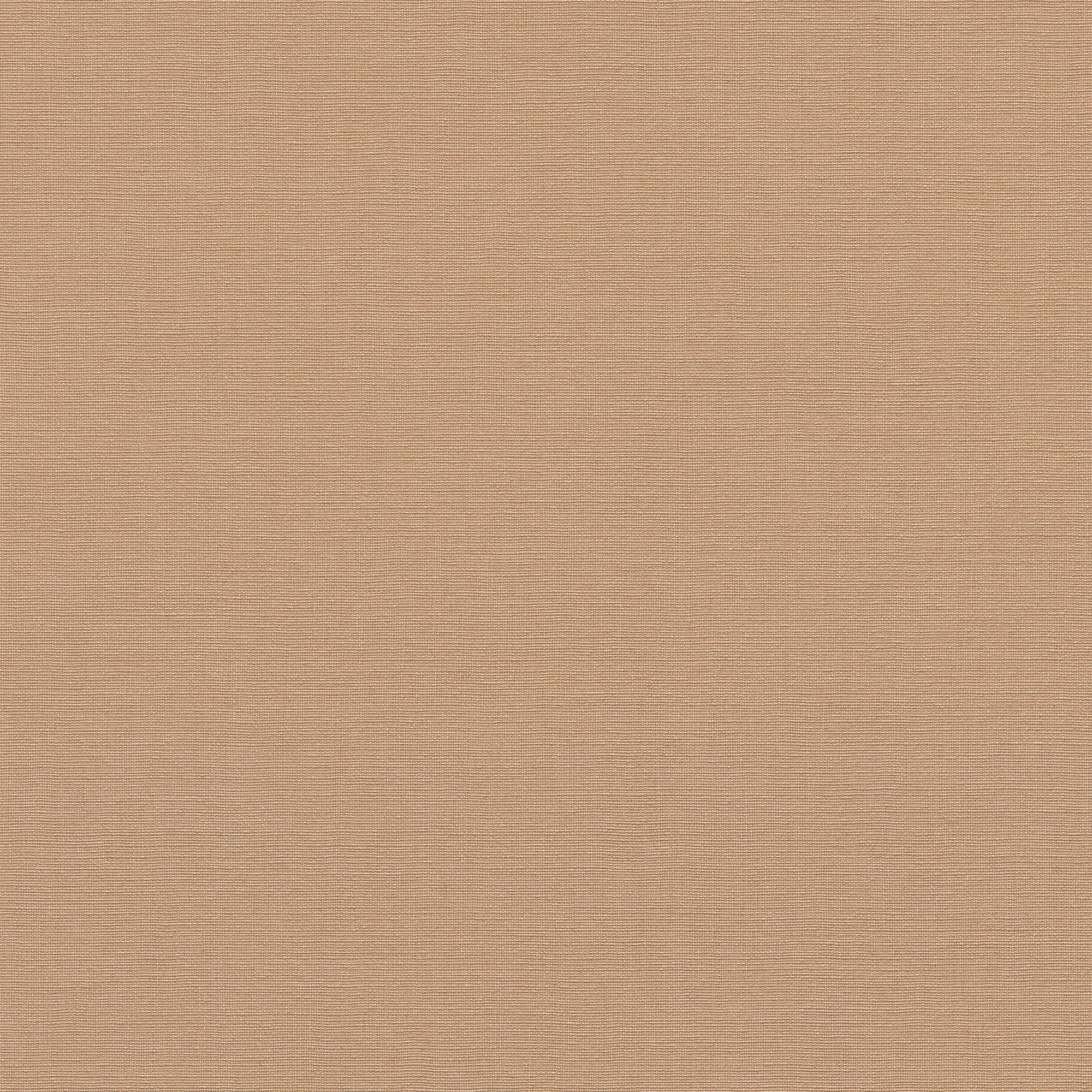 10262-06 La Terrasse Linea Tissu  Wallpaper by Erismann