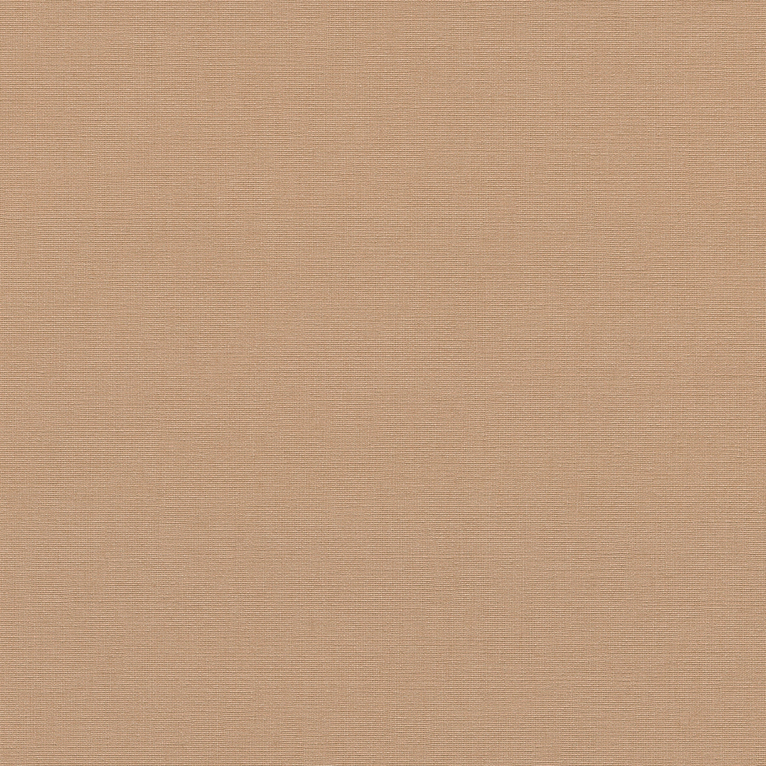10262-06 La Terrasse Linea Tissu  Wallpaper by Erismann