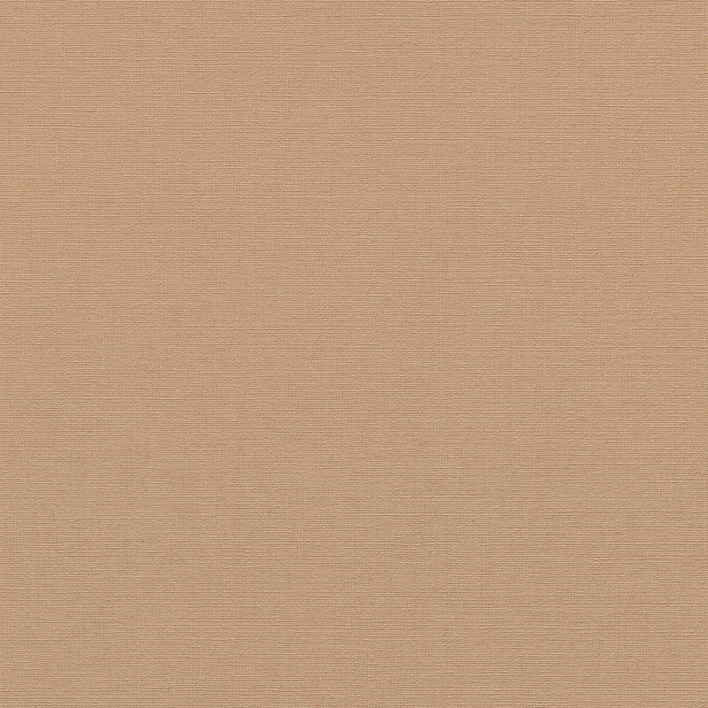 10262-06 La Terrasse Linea Tissu  Wallpaper by Erismann