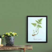 10262-07 Casual Chic Wallpaper By Erismann