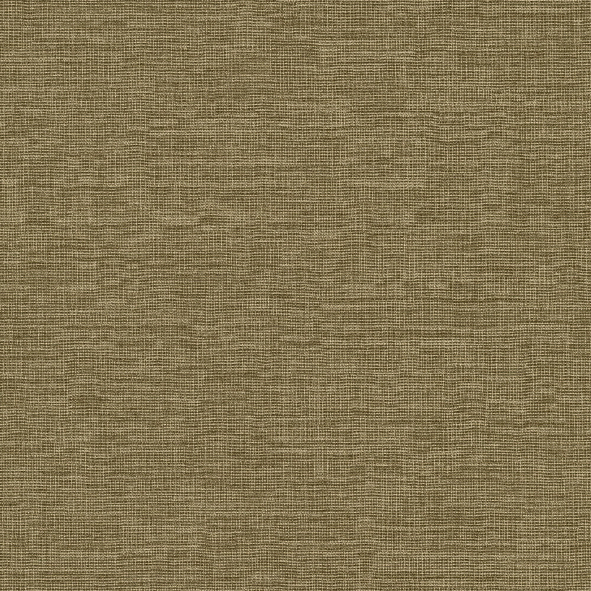 10262-24 La Terrasse Linea Tissu  Wallpaper by Erismann