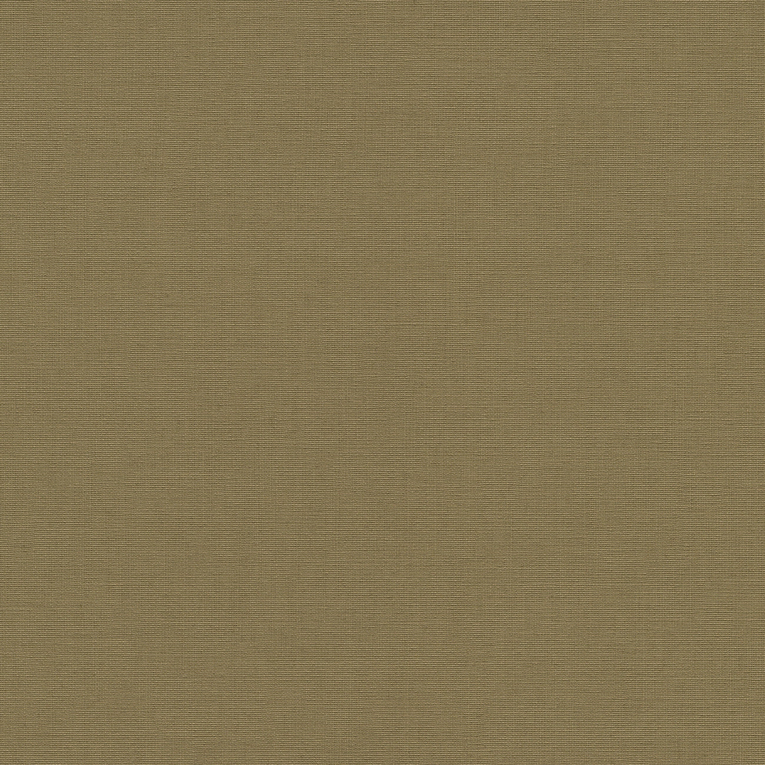 10262-24 La Terrasse Linea Tissu  Wallpaper by Erismann