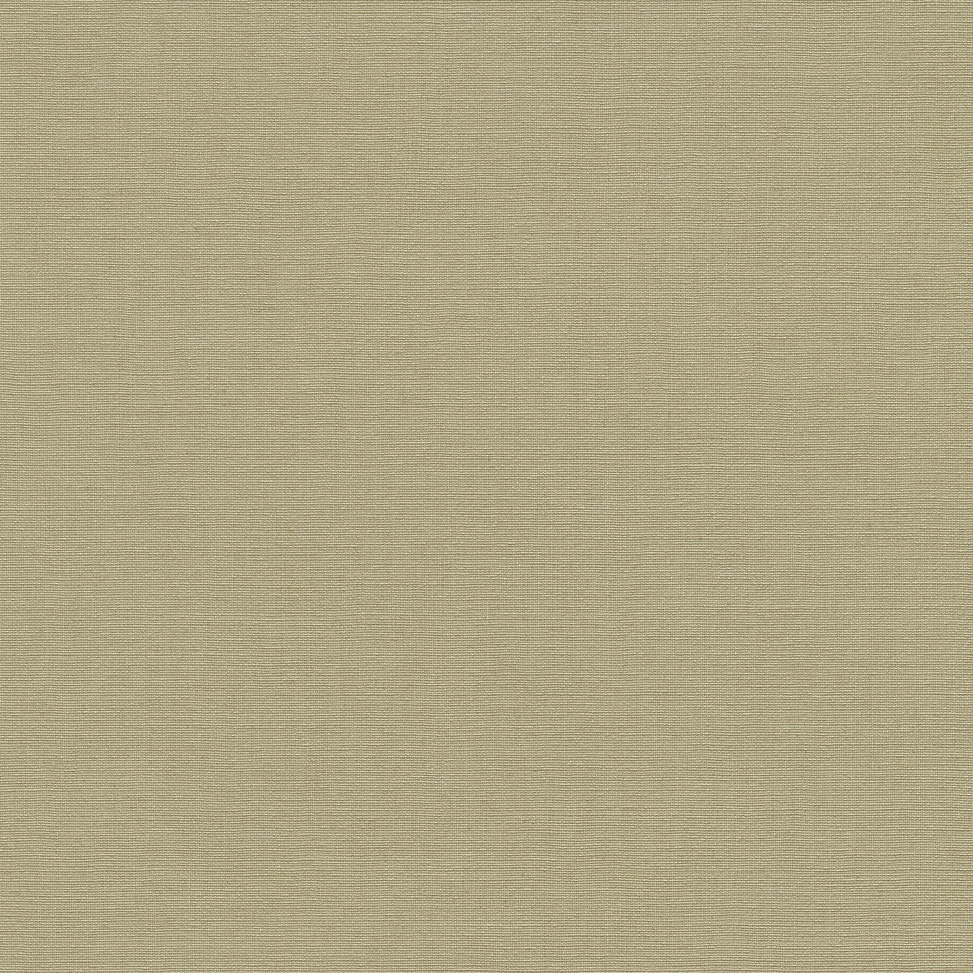 10262-36 La Terrasse Linea Tissu  Wallpaper by Erismann