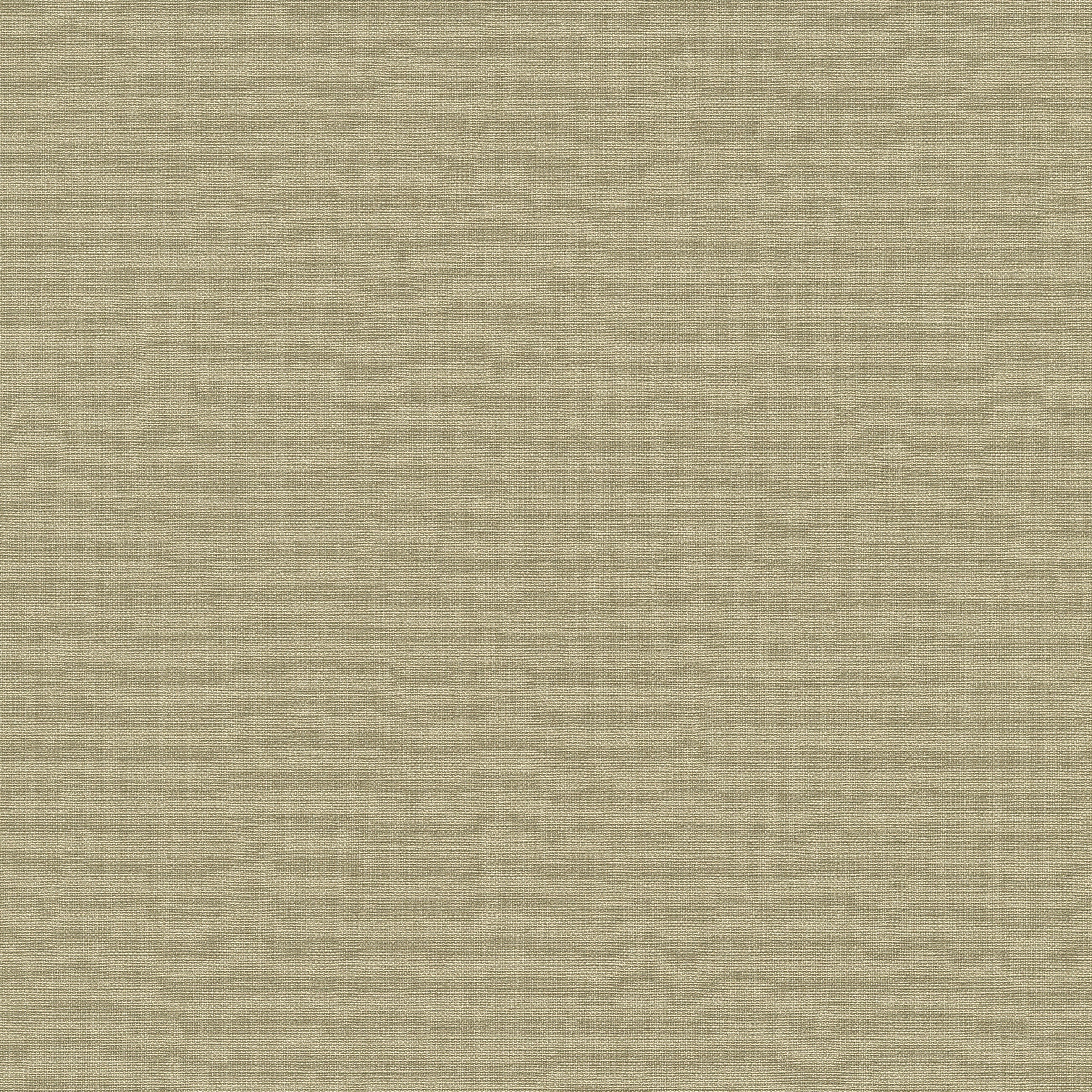 10262-36 La Terrasse Linea Tissu  Wallpaper by Erismann