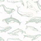 SYO102797010 Whale Done Sea You Soon Wallpaper by Caselio