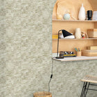 VEL102847118 Uni Mat Velvet Wallpaper By Caselio