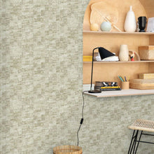 VEL102847118 Uni Mat Velvet Wallpaper By Caselio