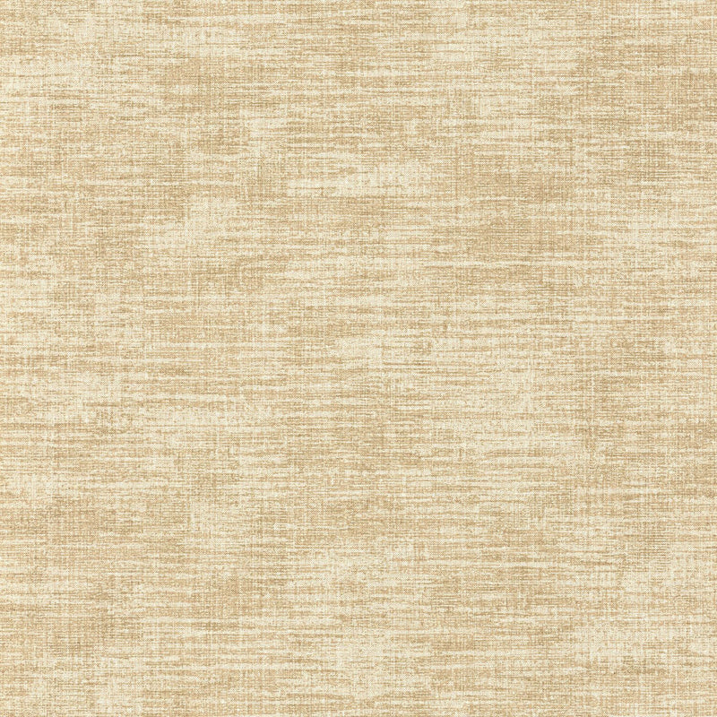 VEL102852000 Uni Metallise Velvet Wallpaper By Caselio