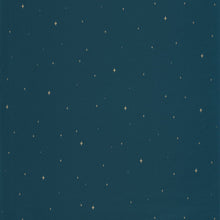 FRT102966645 Under The Stars La Foret Wallpaper By Caselio