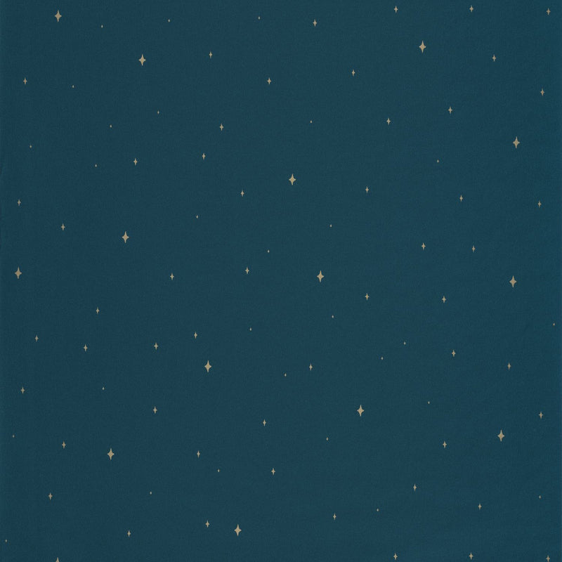 FRT102966645 Under The Stars La Foret Wallpaper By Caselio