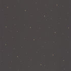 FRT102969983 Under The Stars La Foret Wallpaper By Caselio