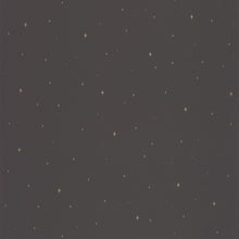 FRT102969983 Under The Stars La Foret Wallpaper By Caselio