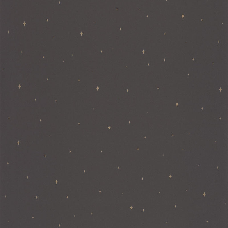 FRT102969983 Under The Stars La Foret Wallpaper By Caselio