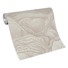 10298-14 Focus Wallpaper By Erismann