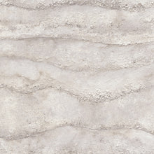 10299-02 Focus Wallpaper By Erismann