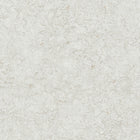 10302-02 Focus Wallpaper By Erismann