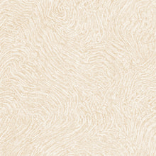 10303-02 Focus Wallpaper By Erismann