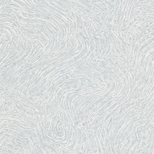 10303-10 Focus Wallpaper By Erismann