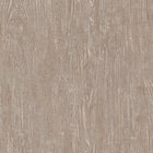 10307-32 Focus Wallpaper By Erismann