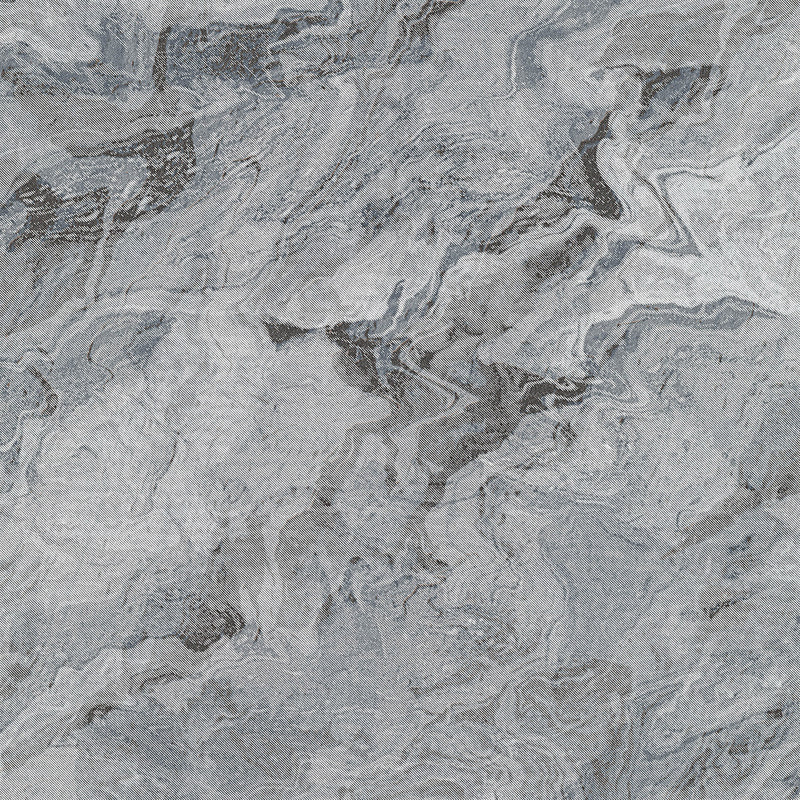 10318-47 Evolution Wallpaper By Erismann