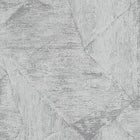 10319-10 Evolution Wallpaper By Erismann