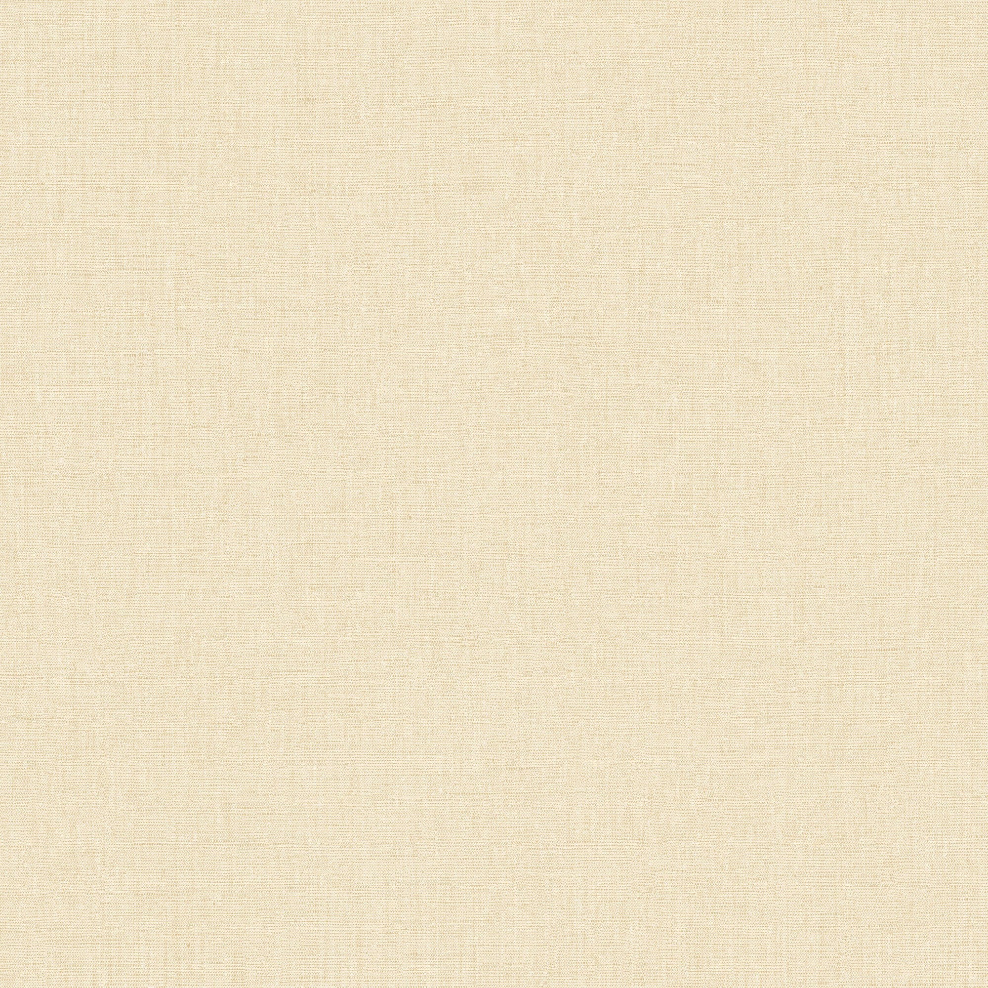 103221550 Uni Mat Avoine Wallpaper by Caselio