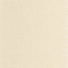 103221550 Uni Mat Avoine Wallpaper by Caselio