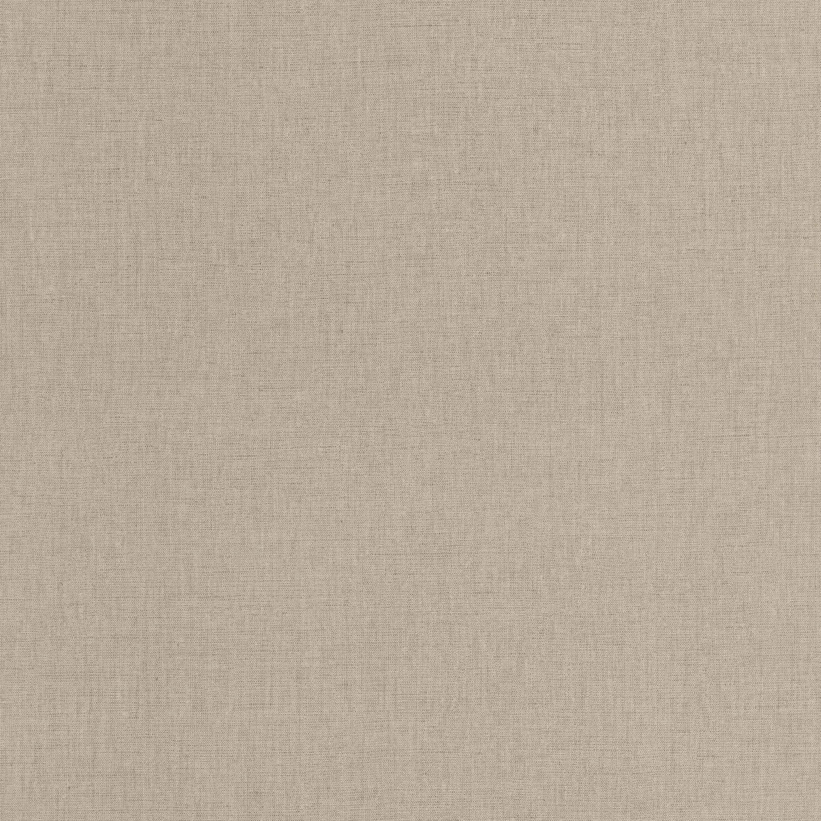 BLS103221850 Uni Mat Chataigne Wallpaper by Caselio